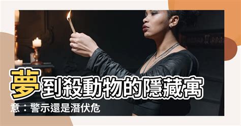 夢到殺動物|夢見殺小動物，夢到殺小動物是什麽意思？